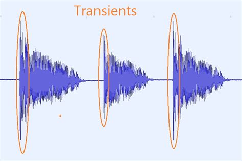 what is a transient in music what is the role of transient in music production